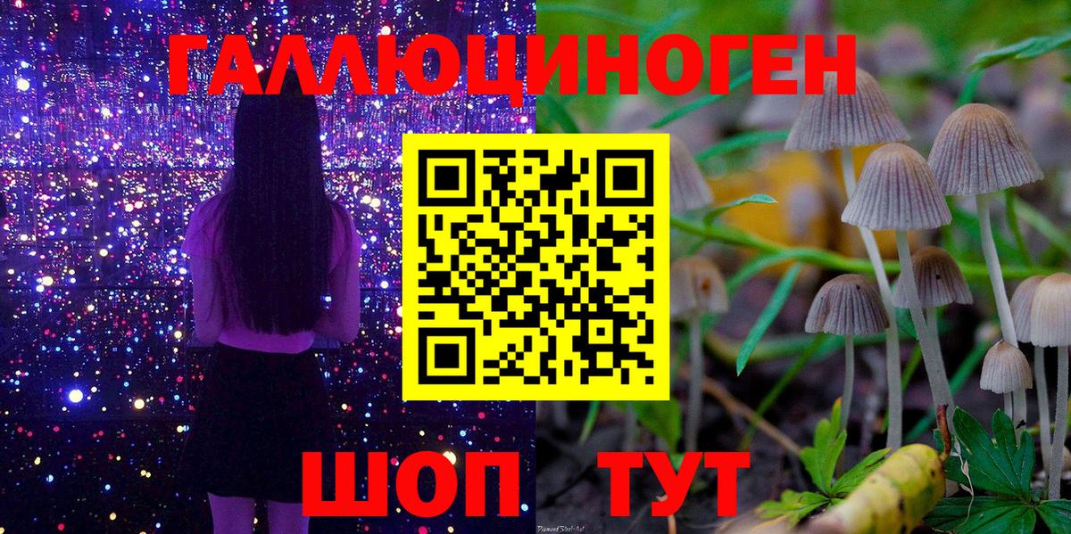 Батайск  дарнет шоп  Вход с VPN  Псилоцибиновые грибы ЛСД 